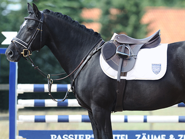 Springsattel mit abgestimmtem Vorderzeug und Zaumzeug, Reitsport Toscaninihof Salzburg, Reiten, Springen, Sattelservice, Pferde