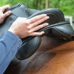 Reitsport Toscaninihof Salzburg Sattelservice, Reiten, Pferde, Schönes für Pferd und Reiter, Sattel, Anpassung Sattel